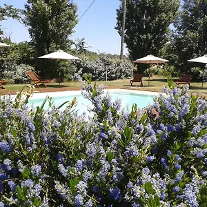 *** Bed & Breakfast La Ferme De Frankrijk